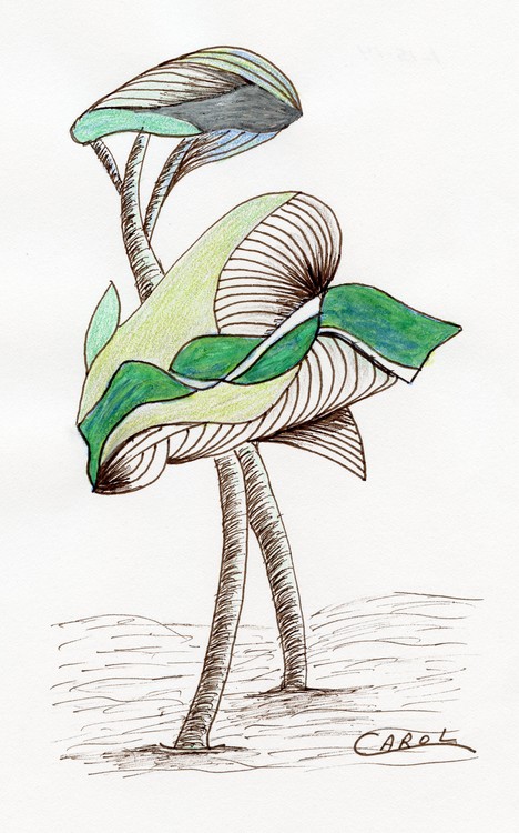 The Sheltering Palms