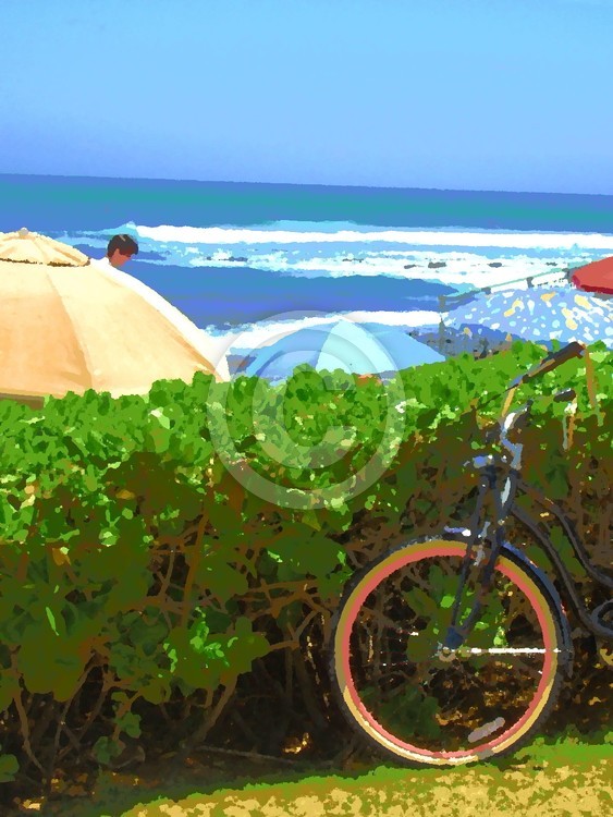 A Bike in Paradise
