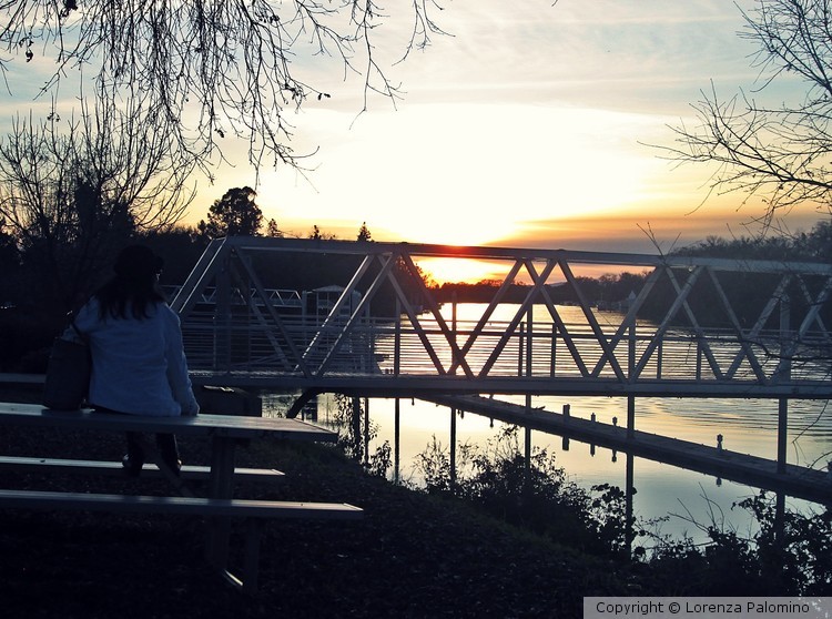 Watching The Sunset