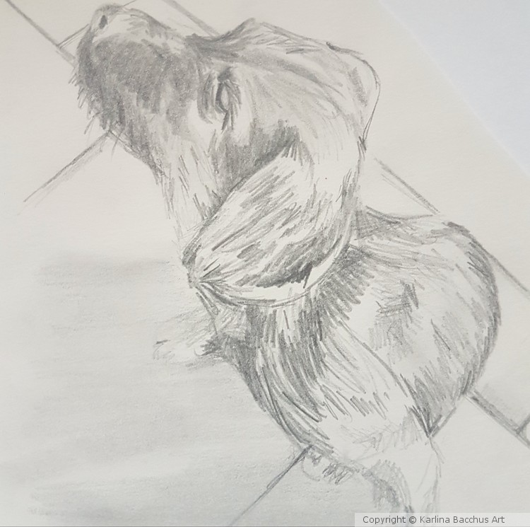 Dog Sketch