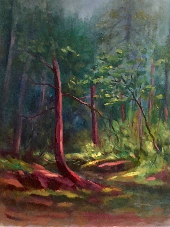 Red Cedar