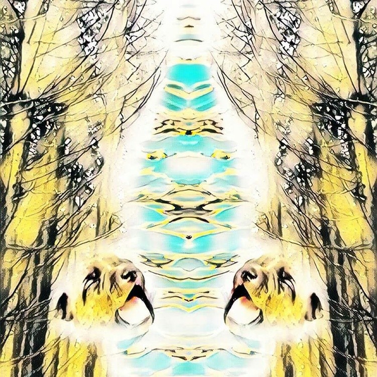 picsart