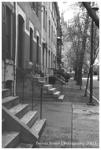 Brownstones 1
