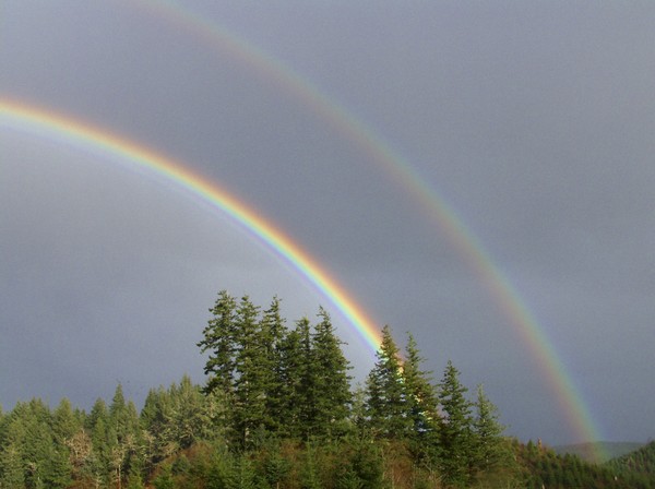 Double Rainbow