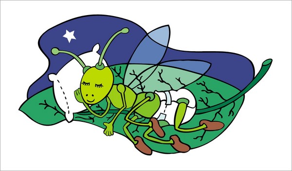 Cricket