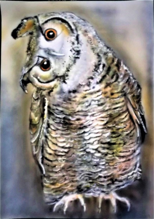 Owl  on A4  card (4)