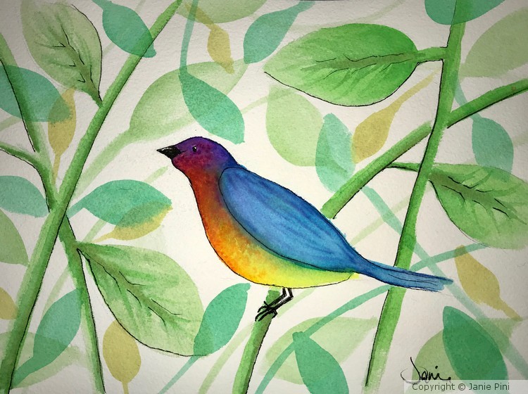 Rainbow Bird