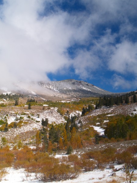 Pine Creek Basin