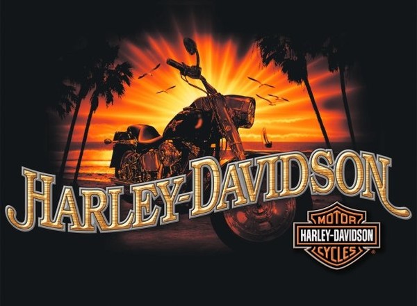 HARLEY-DAVIDSON MENS TEE