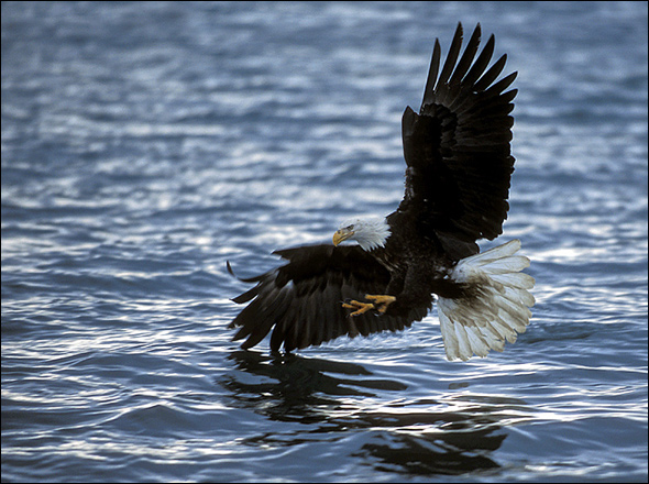Lean on a Wing