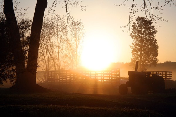Farms in Danger