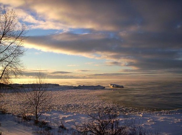 Dawn Floes