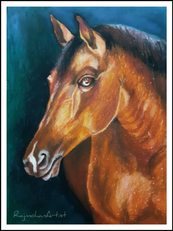 Stallion