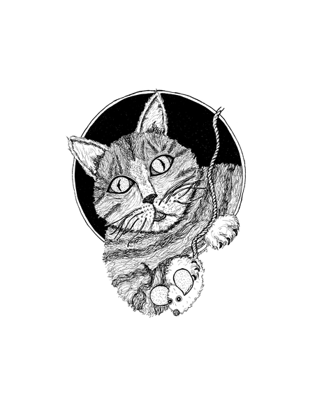 Clinton's Cat