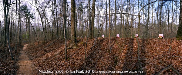 Confederate Craves, Natchez Trace