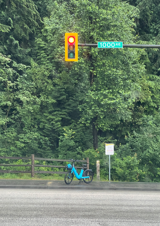 The rental EV Bike