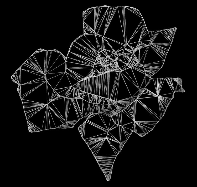 Stringed Rose