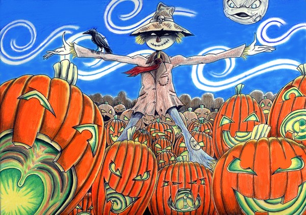Pumpkin patch