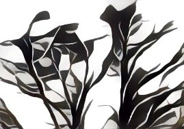 NFT Art 1648157004447