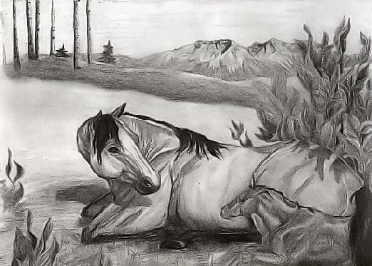Mare and Foal