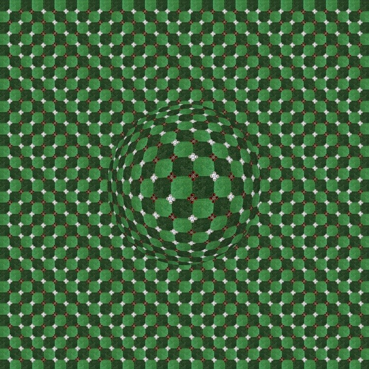 Optical Illusions That Will Make Your Brain Hurt