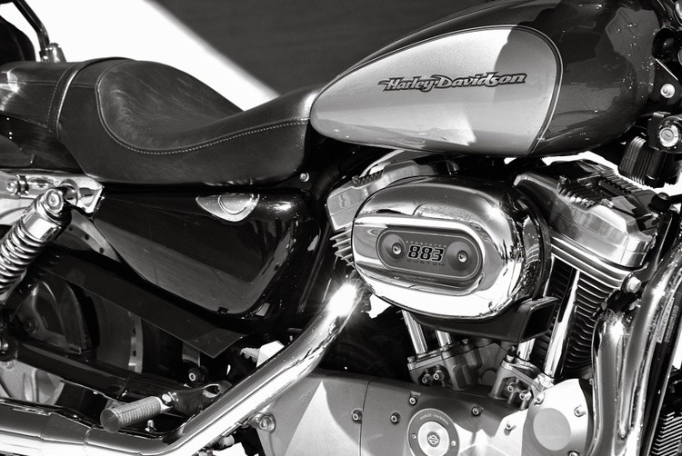 Harley 2 bw-017