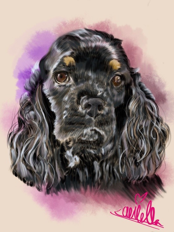 Koda in color
