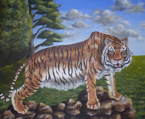 Tiger