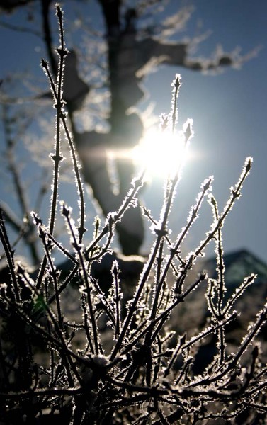 Memory of winter