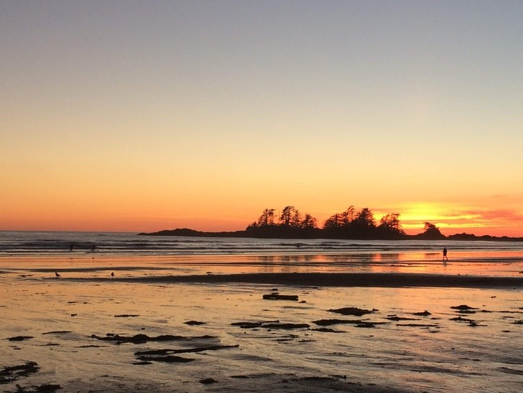 Tofino sunset