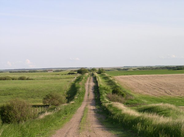 From Country Road to Highway