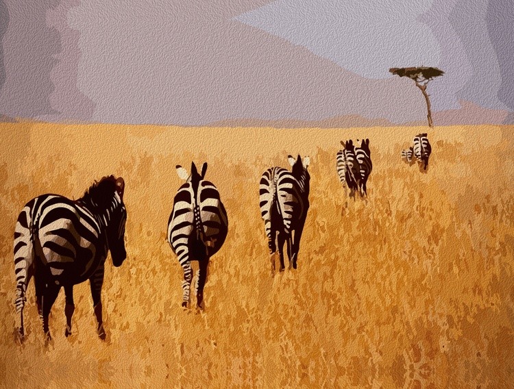 Serene Safari – Zebras in the Golden Grasslands