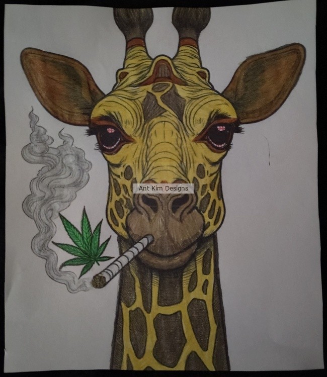 High Giraffe