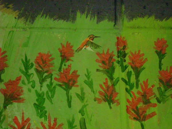 Bon Accord Community School Mural-Hummingbird