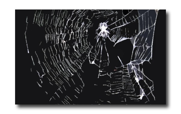 Silver Spider Silks