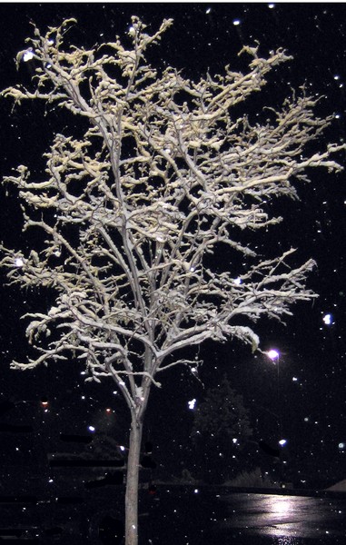 When snow falls in the darkness