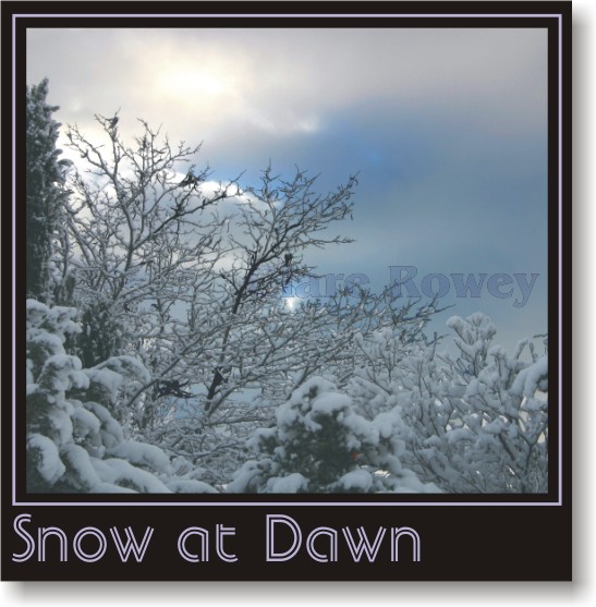 Snow at Dawn