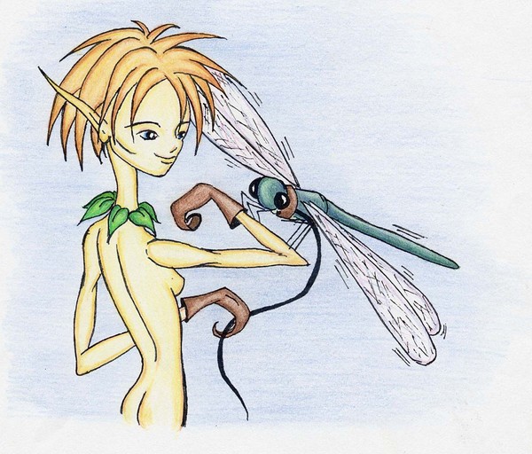 DragonFly Handler