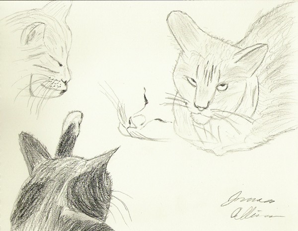Midnight & Spike Among Disasters