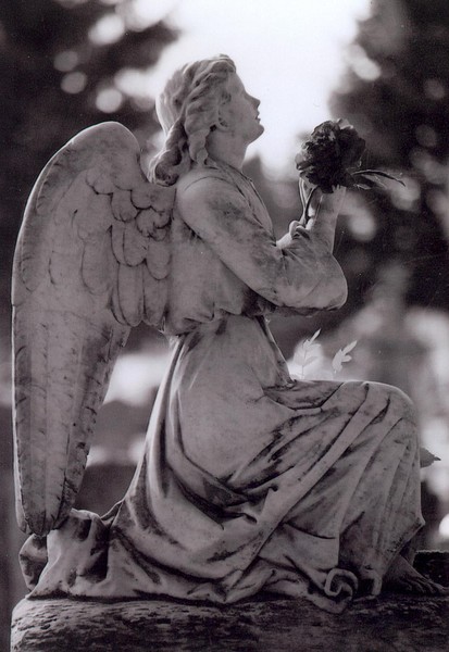 Stone Angel