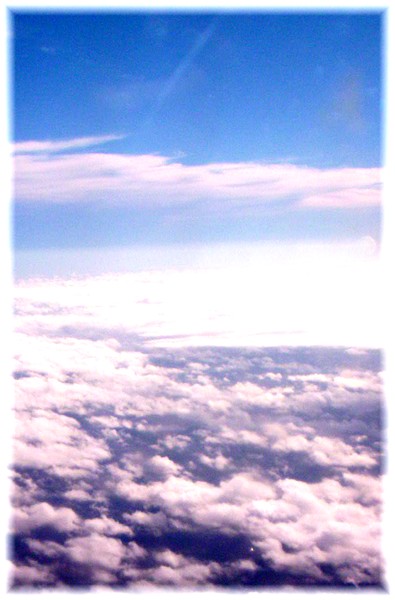 No Fear of Flying