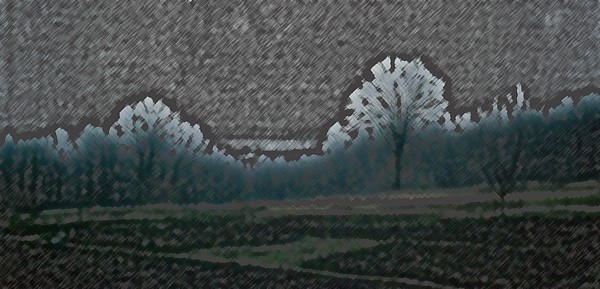 Blue forest and green spot of grass