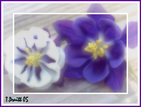 Columbine East and West