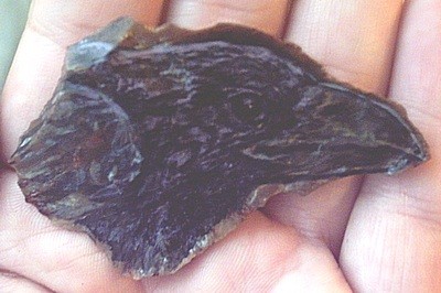 Raven on Flint Spiritkeepers Stone