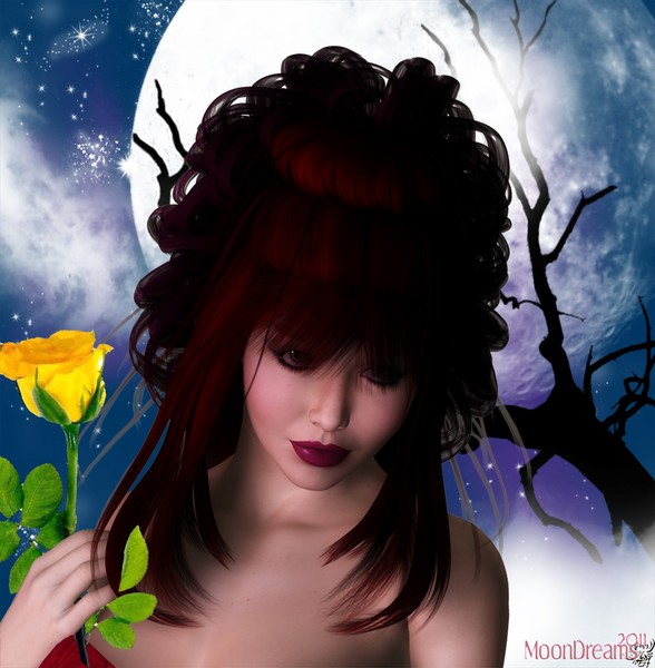 Moon Dreams