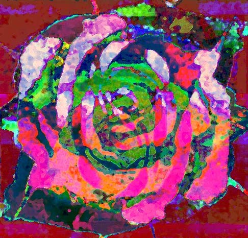 overlapped rose 4