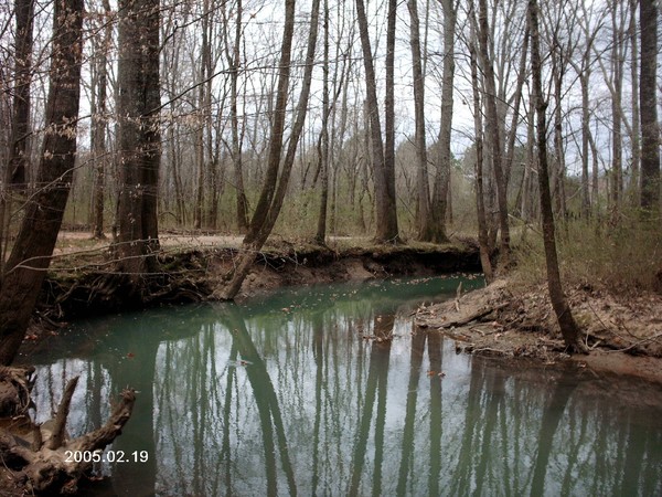 Serenity Creek