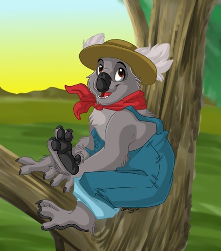 Koala
