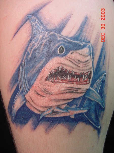 Shark