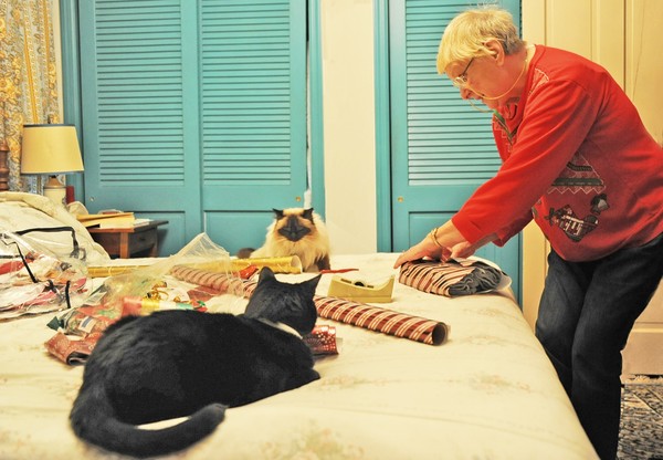 Cat Supervisors